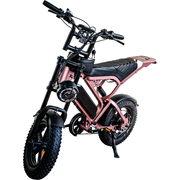 V20 Mini - Rose Gold