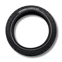 Fatbike Buitenband 20x4.0 – CST Ride Ambro Anti-lek – Ouxi / QMWheel 20 inch
