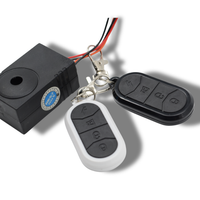 Fatbike Alarm Eingebaut (Mini)